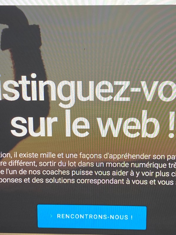  Faire valoriser son cheval par un cavalier professionnel à Bordeaux 